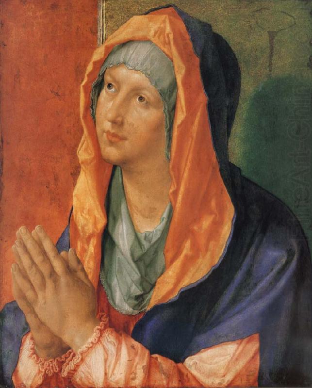 Albrecht Durer The Virgin in Prayer china oil painting image